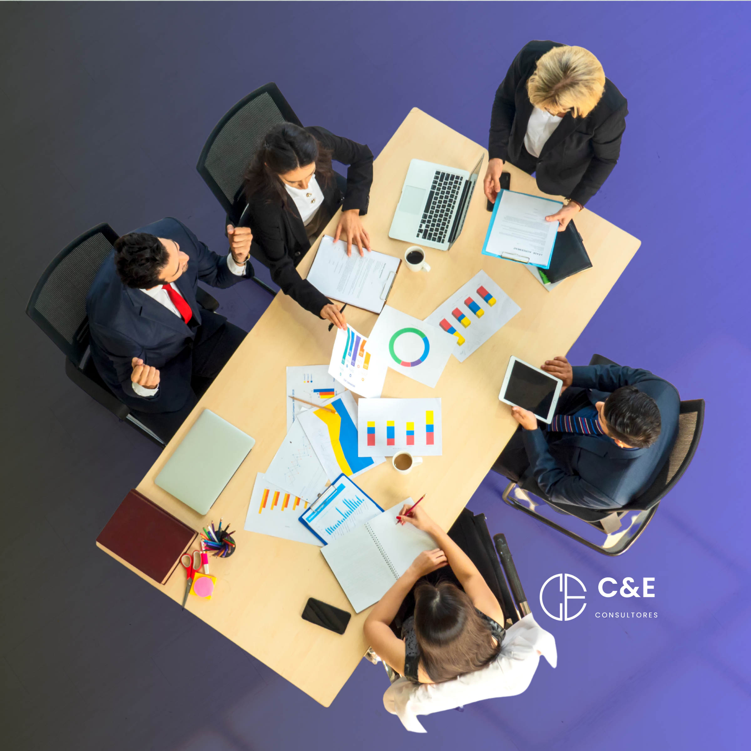 Revisoría Fiscal - Consultores CYE